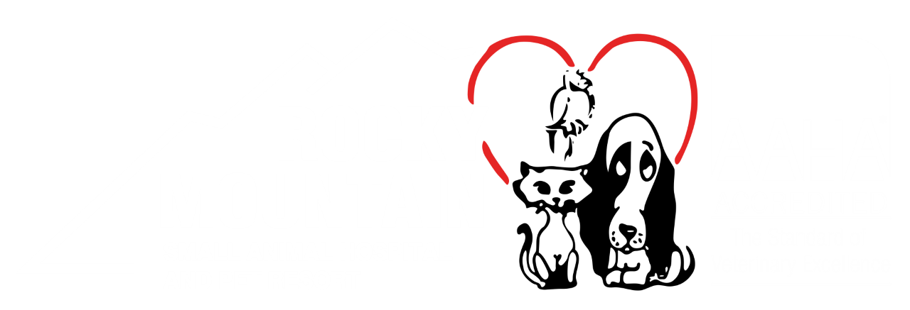 Welcome | Rocky Mountain Small Animal Hospital