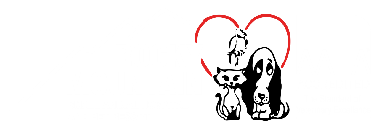 Rocky Mountain Small Animal Hospital